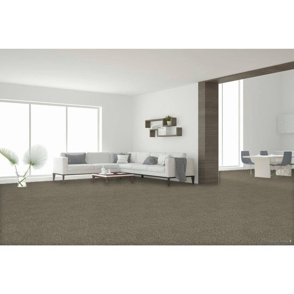 Dream Weaver Breakview I Carpet in Pine Log, , large