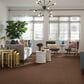 Anderson Tuftex Caress Cozy Harbor II Carpet in Sunbaked, , large