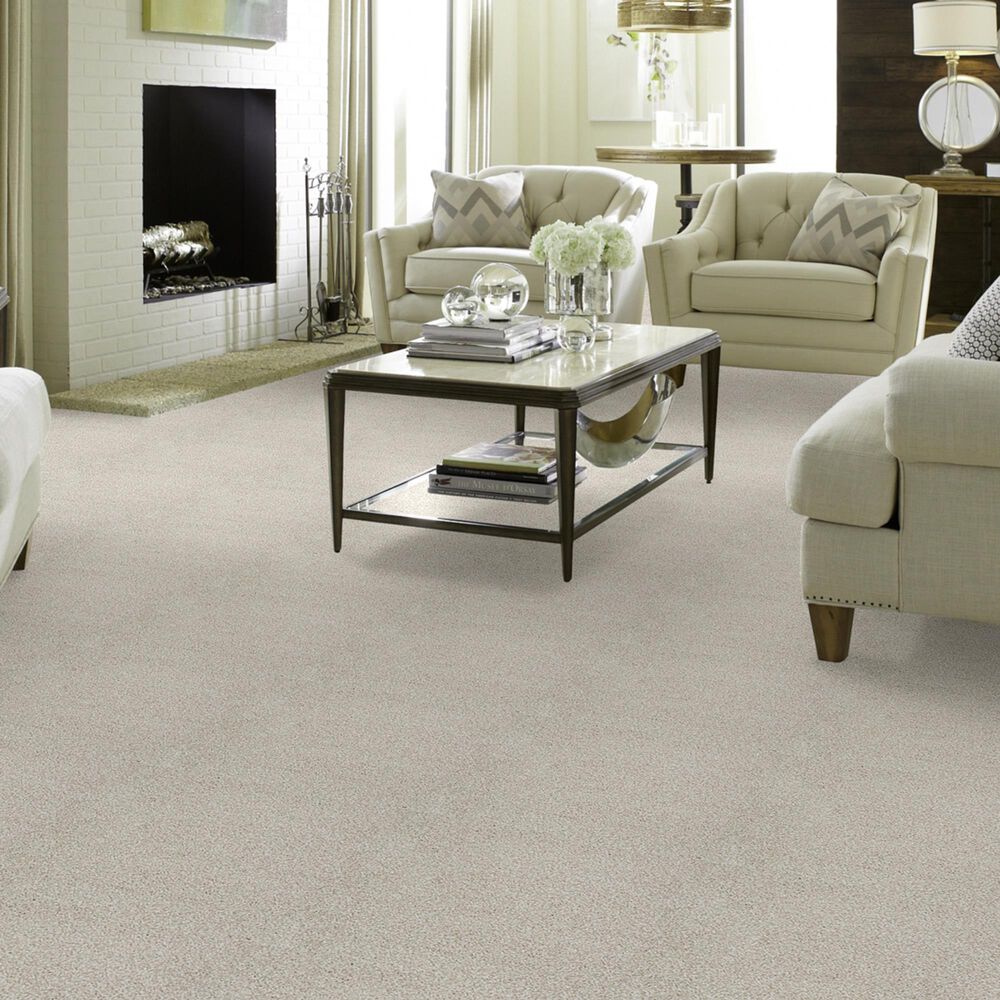 Shaw Foundations Take The Floor Tonal II Carpet in Cashmere, , large