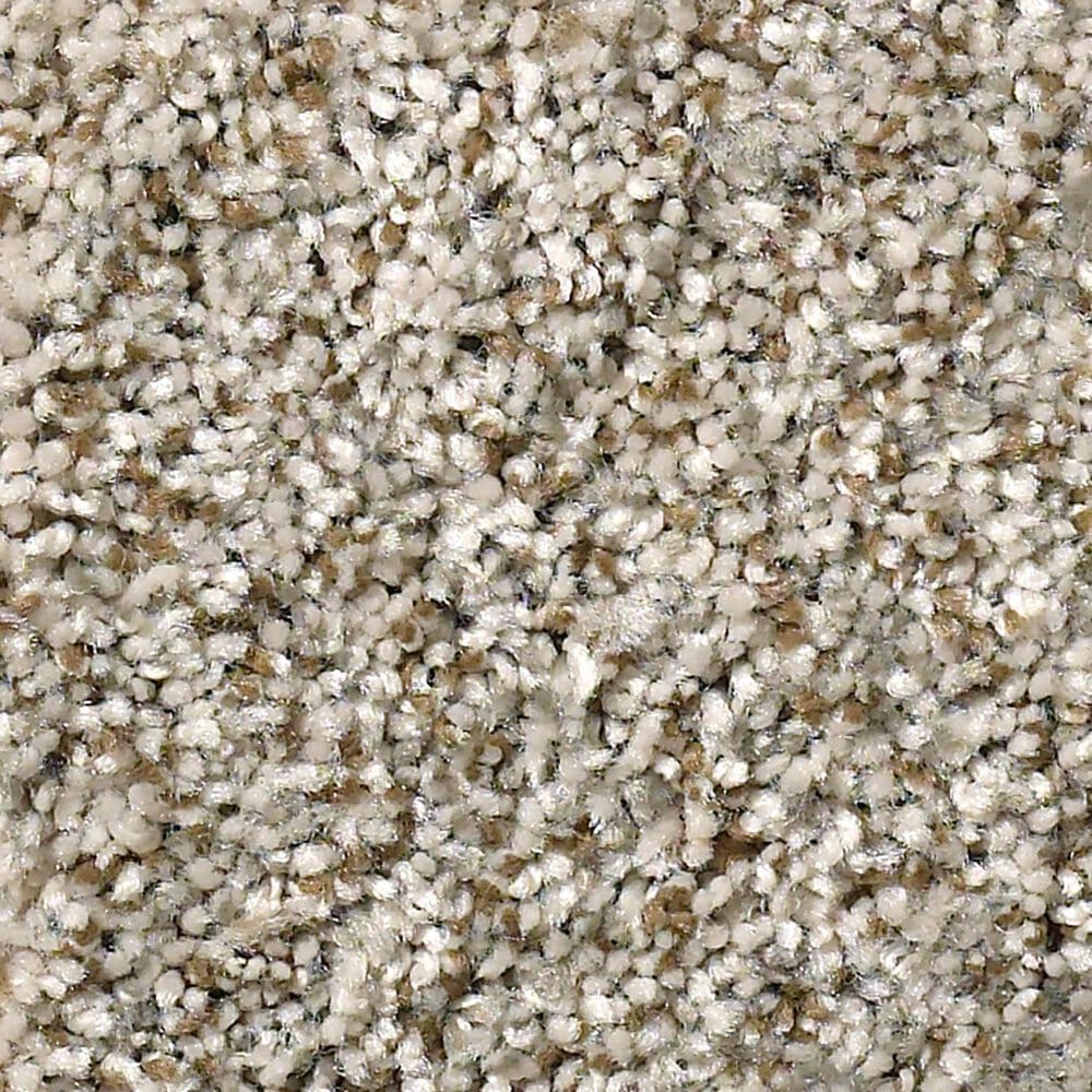 Shaw Simply the Best Cabana Life Carpet in Beach House, , large