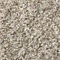 Shaw Simply the Best Cabana Life Carpet in Beach House, , large