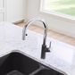 Blanco Urbena 1.5 GPM Pull-Down Kitchen Faucet in Chrome and Cinder, , large