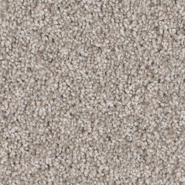 Shaw Imaginable III Carpet in Great Greige, , large