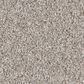 Shaw Imaginable III Carpet in Great Greige, , large