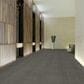 Shaw Immerse 24" x 24" Carpet Tile in Involve, , large