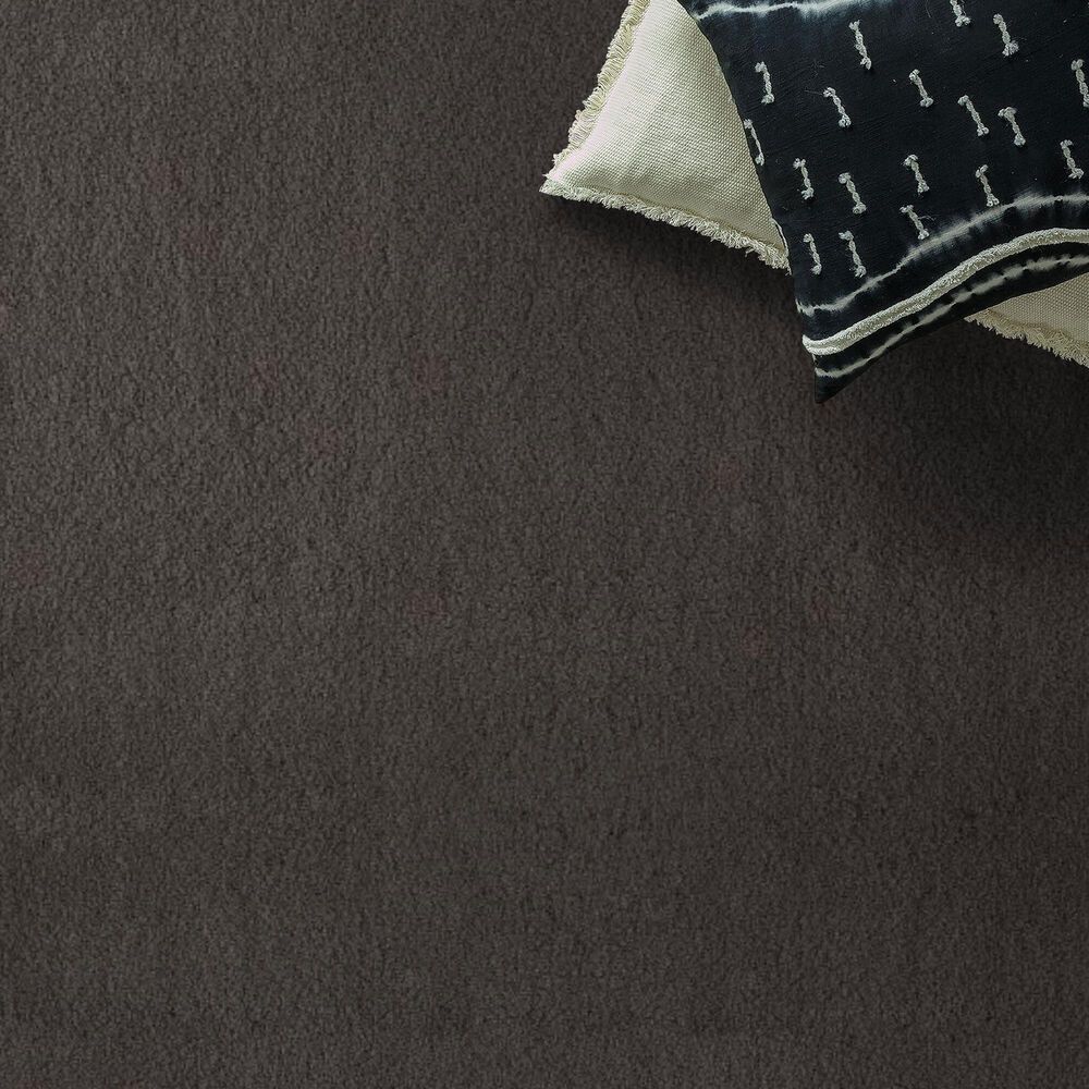 Anderson Tuftex Luxe Feel I Carpet in Armory, , large
