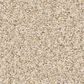 Anderson Tuftex Somerset Carpet in Risotto, , large