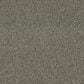 Dixie Home Big Splash Carpet in Moss, , large