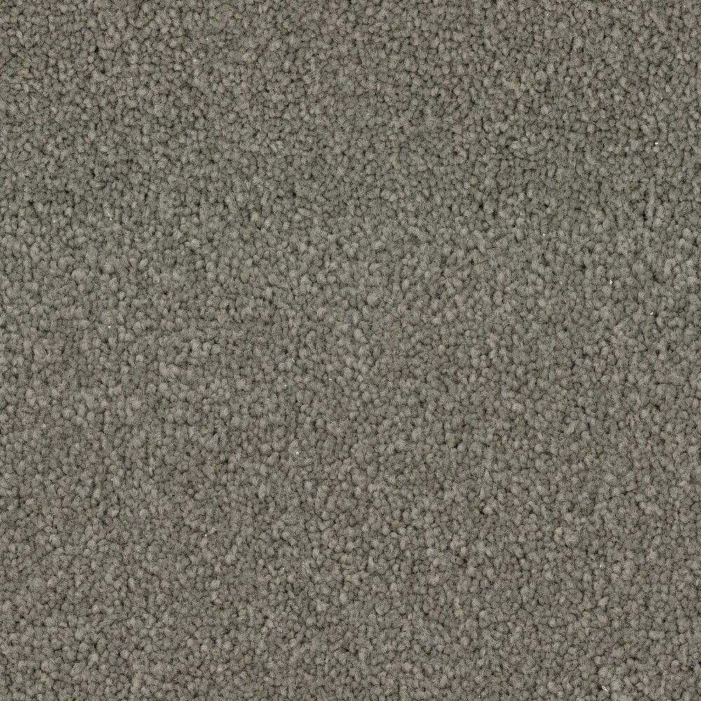 Dixie Home Big Splash Carpet in Moss, , large