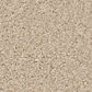 Anderson Tuftex Elegant Beauty Carpet in Tapioca, , large