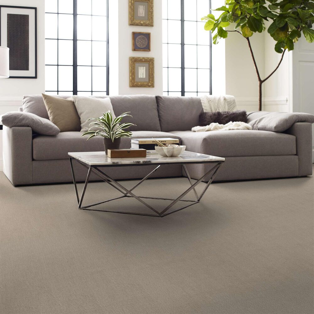 Shaw Sierra Vista Carpet in Passageway, , large