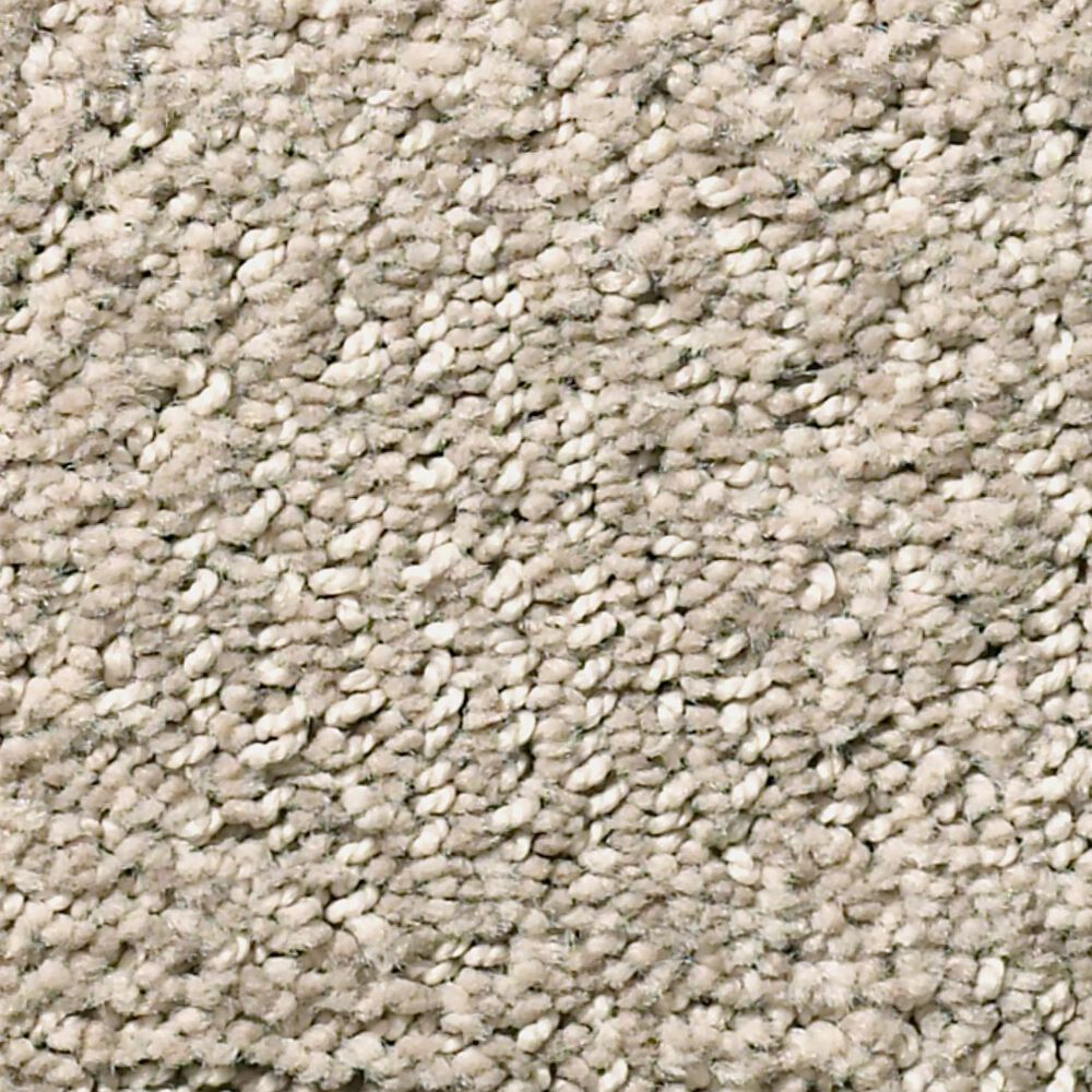 Anderson Tuftex Luna Carpet in Cocoa Sand, , large