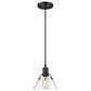 Golden Lighting Orwell 7" Small Pendant with Clear Shade Glass in Matte Black, , large