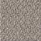 Shaw Embellished Carpet in Asteroid, , large