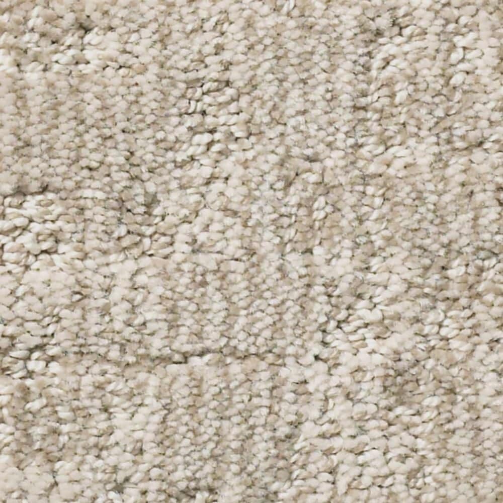 Anderson Tuftex Paw-Tay Carpet in Cedar, , large