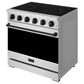 Thor Kitchen Gordon Ramsay 6 Cu. Ft. Professional Freestanding Electric Range with Black Handle Kit in Stainless Steel, , large