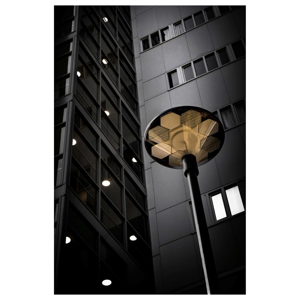 Timberlake Punti Luce 32" x 22" Canvas Art in Black/Grey/Tan, , large