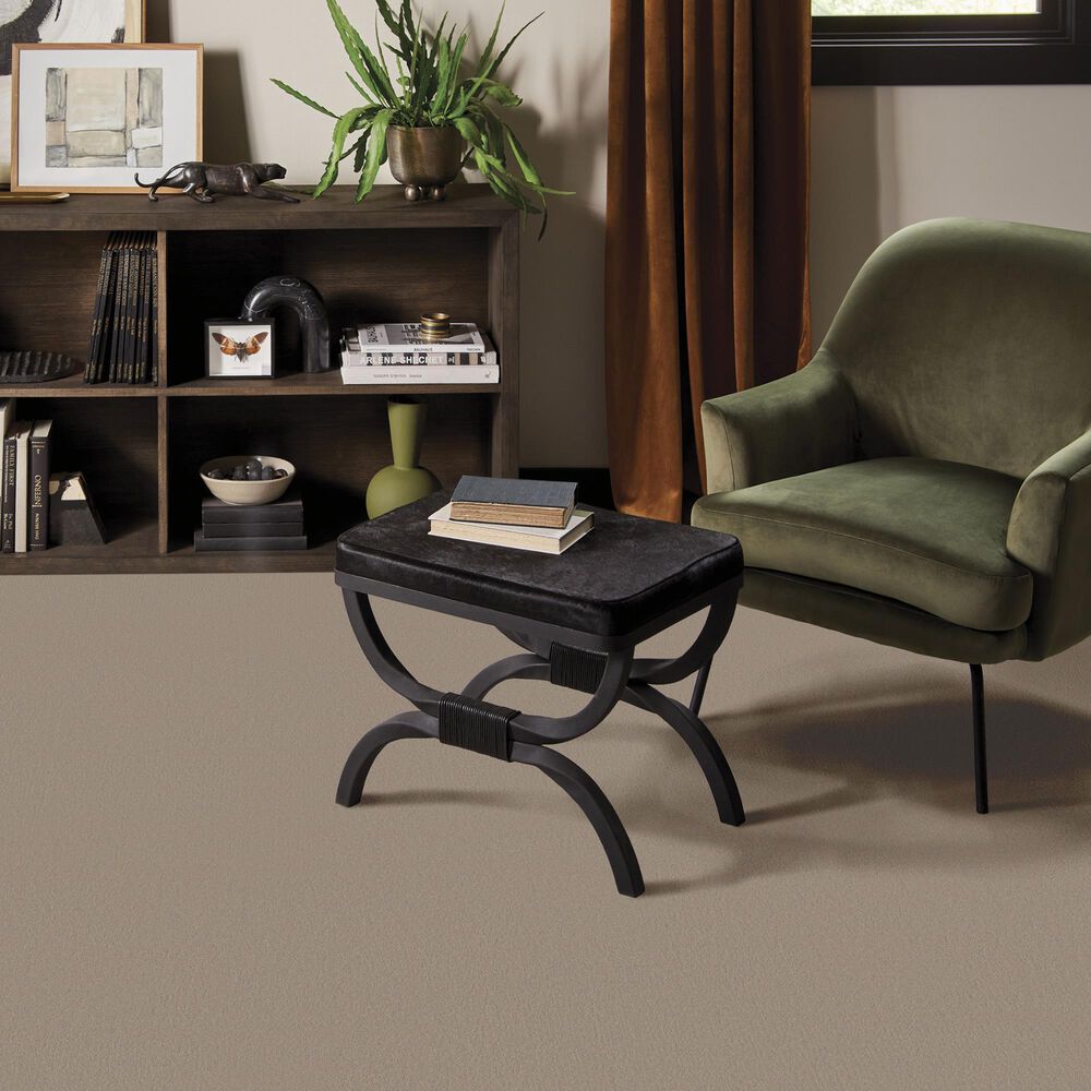 Anderson Tuftex Finery Carpet in Dusty Trail, , large