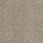 Godfrey-Hirst Enduring Elements Carpet in Hoot Owl, , large