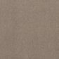 Shaw Live On Comfort Carpet in Carriage House, , large