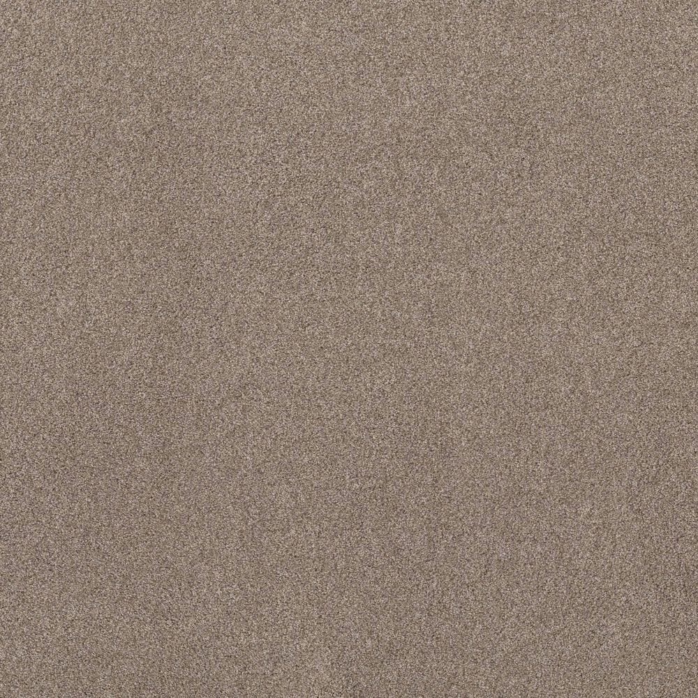 Shaw Live On Comfort Carpet in Carriage House, , large