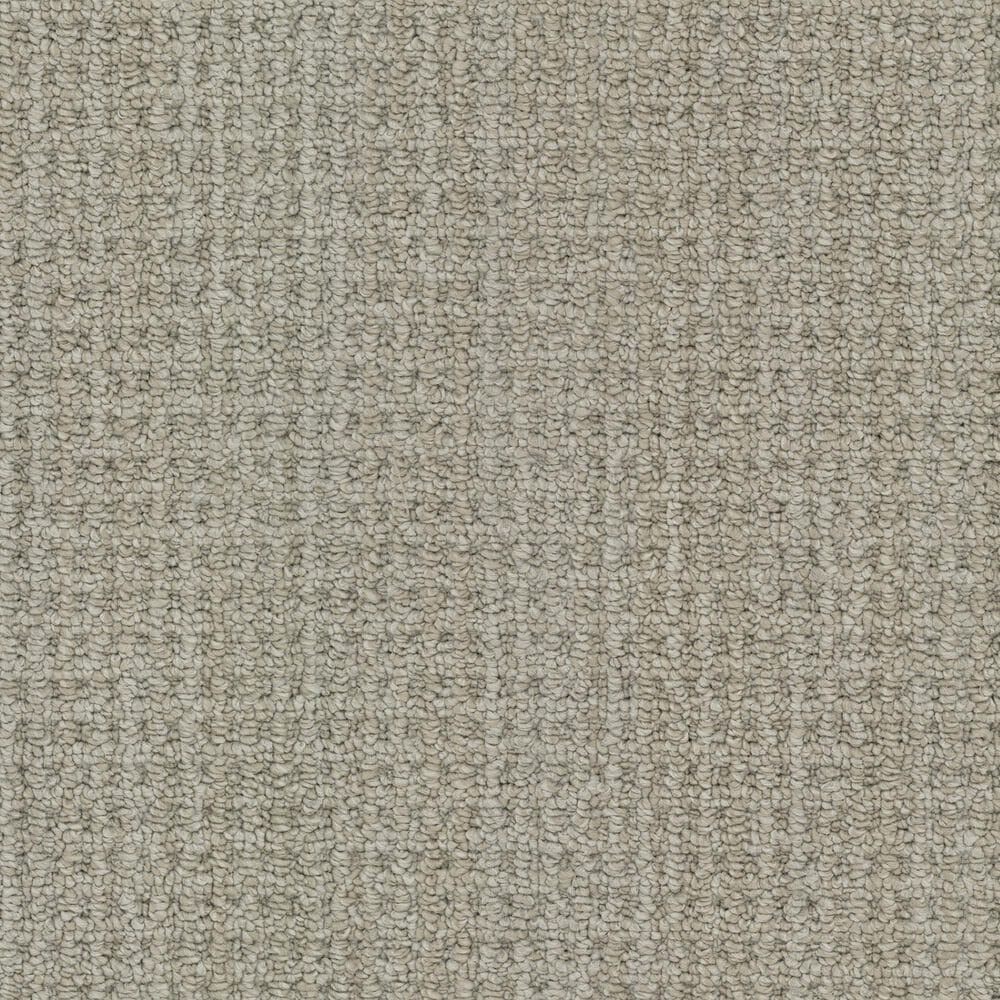 Masland Take It Easy Carpet in Camp Verde, , large