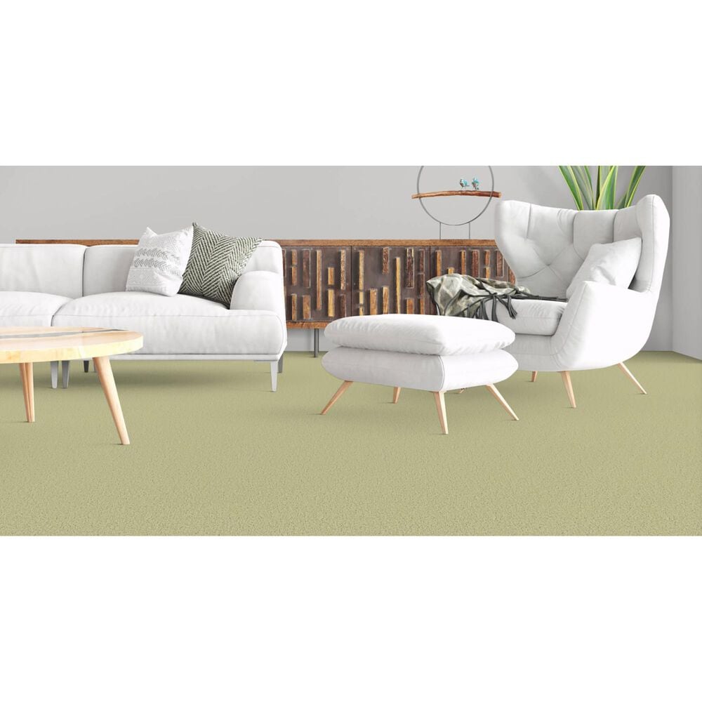 Masland Miami Carpet in Springhill, , large