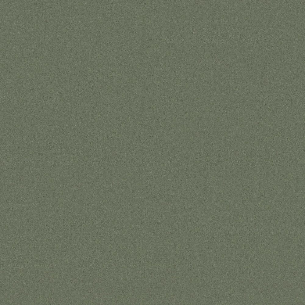 Anderson Tuftex Finery Carpet in Valley View, , large