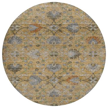 Dalyn Rug Company Silk Road Saffron, Gold, Copper, Gray, Olive and Fern 8" Round Area Rug, , large