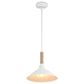 Golden Lighting Journey 1-Light Pendant in Natural White, , large