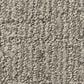 Shaw Roamer Carpet in Horizon, , large