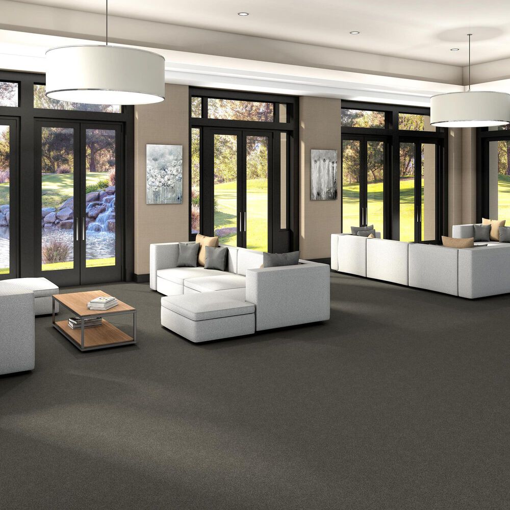 Shaw Yes You Can III Carpet in Rerooted Nature, , large