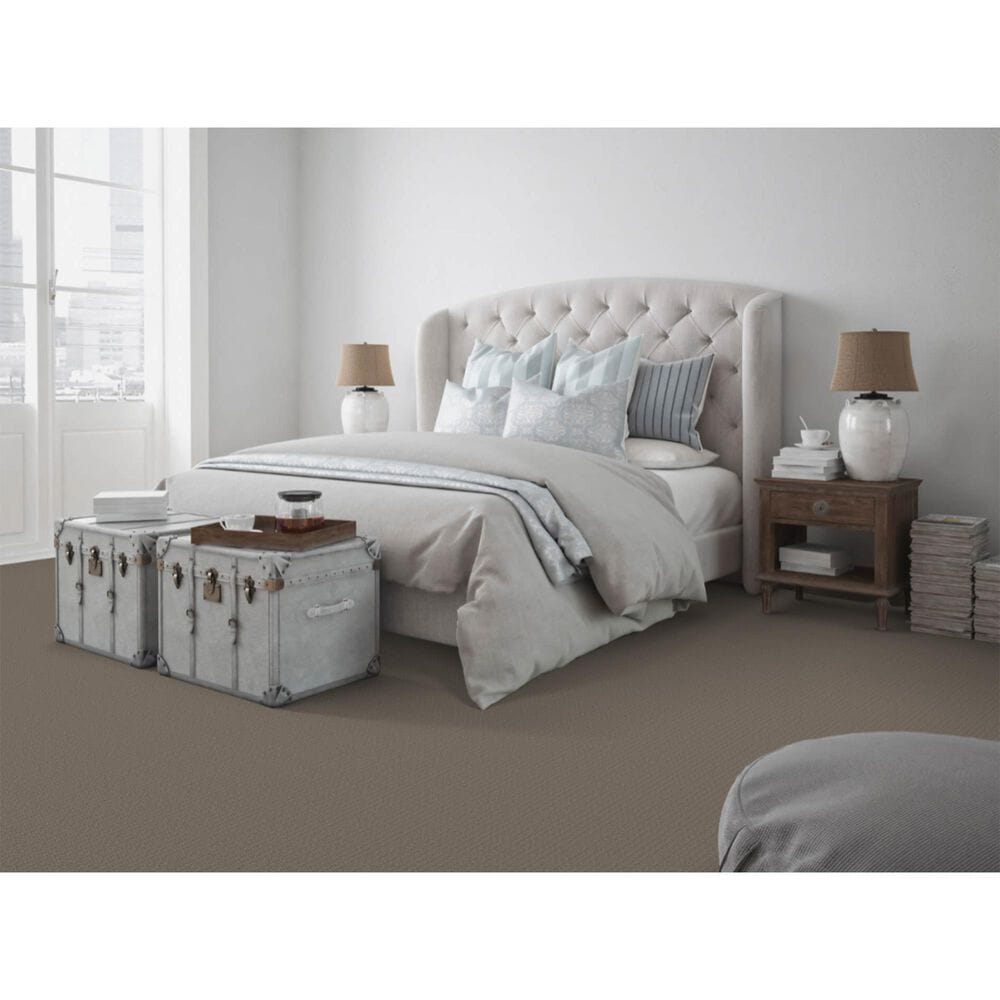 Dixie Home Sensible Carpet in Cobblestone, , large