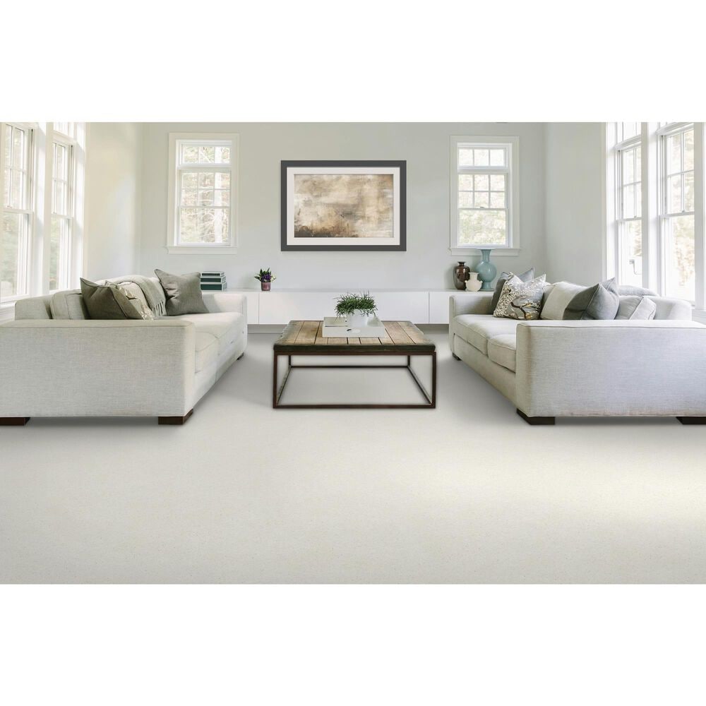 Mohawk Quality Feeling Carpet in Glacier, , large