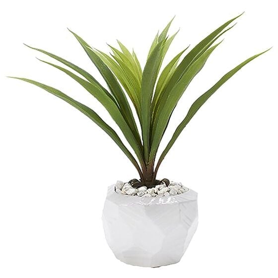 DandW Silks Green Lilly Grass Ceramic Bowl in White