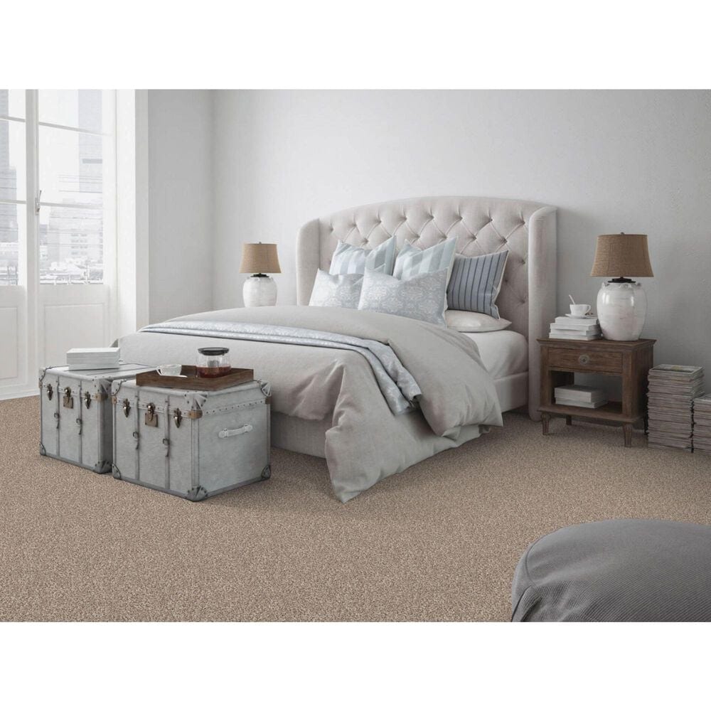 Dixie Home Simplicity Carpet in Laid Back, , large
