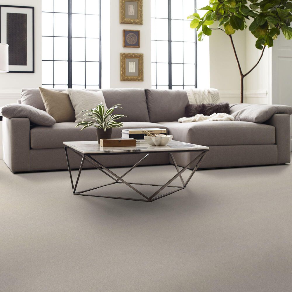 Shaw Hard At Play Iii Carpet in Snowfall, , large