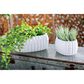 Maple and Jade 6" x 17" Oval Farmhouse Planter in White (Set of 3), , large