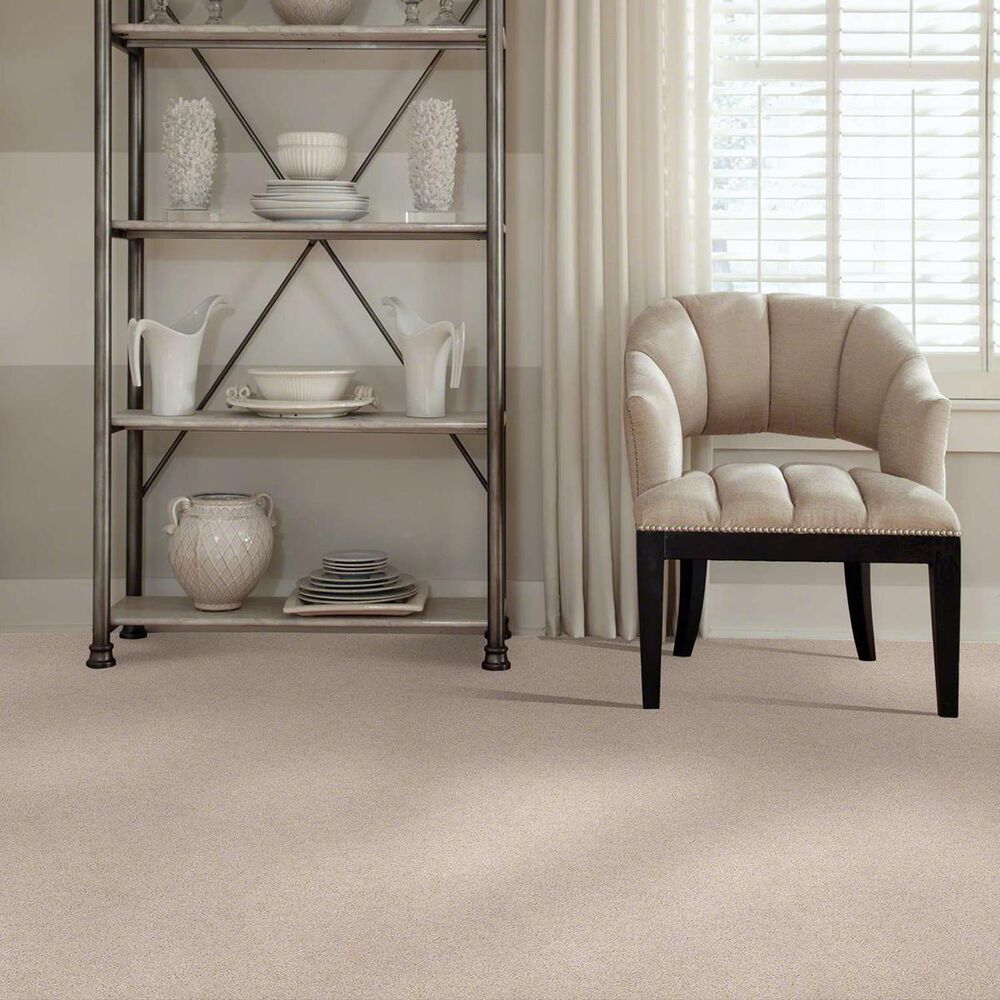 Anderson Tuftex Barracan Classic I Carpet in Blush, , large