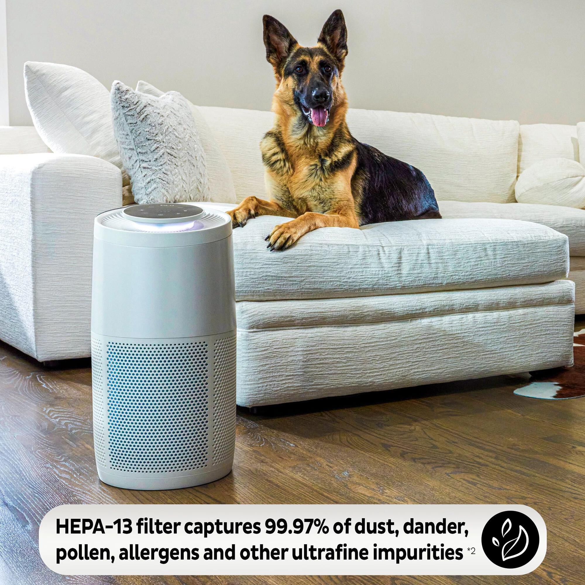 Blue brand air shop purifier