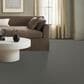 Anderson Tuftex Path Carpet in Cold Morn, , large