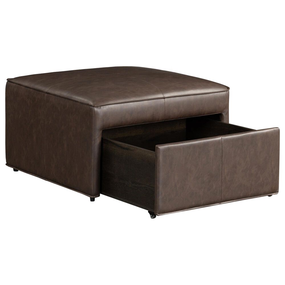 Lifestyle Solutions Hailey Storage Ottoman in Brown, , large