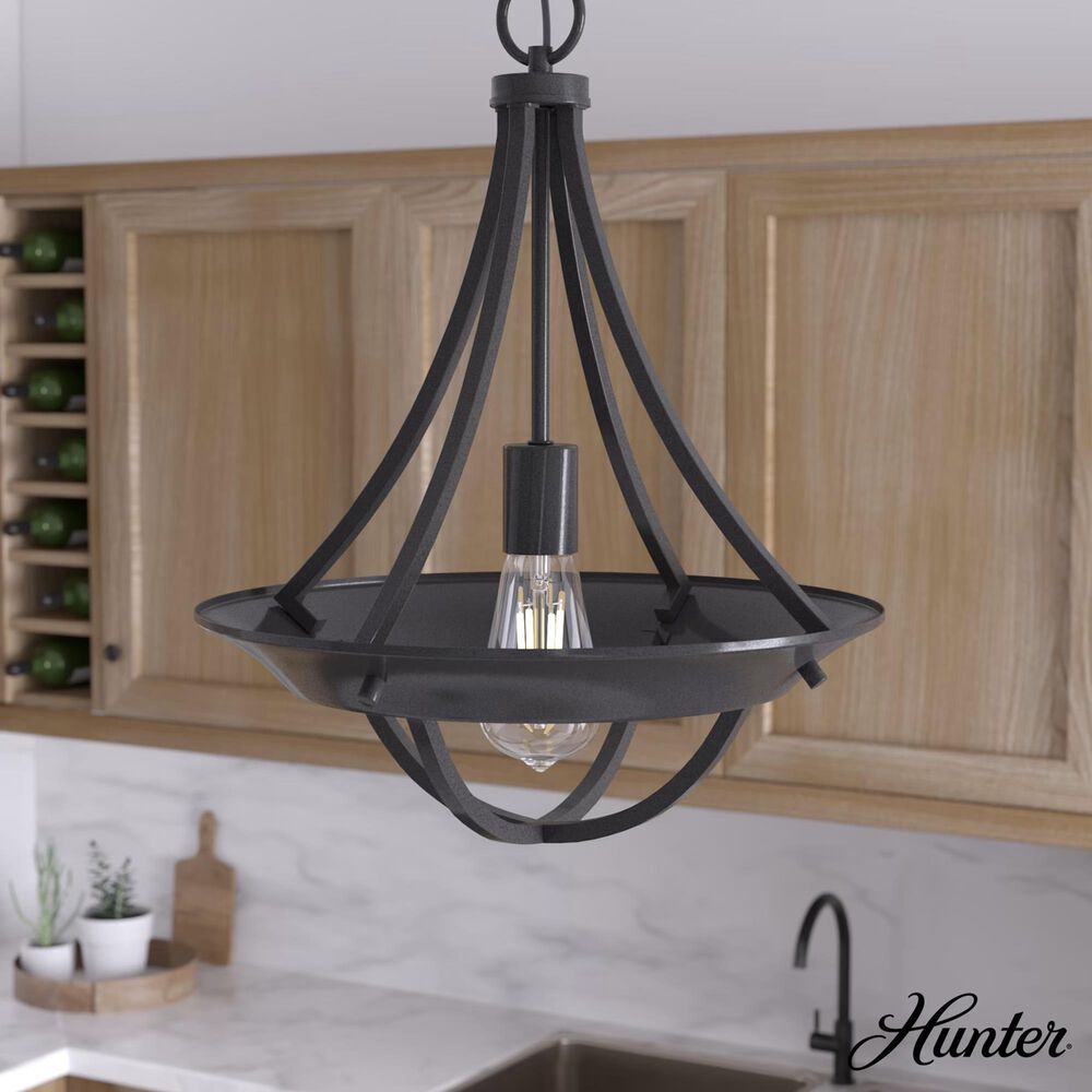 Hunter Perch Point 1-Light Pendant in Noble Bronze, , large