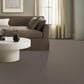 Anderson Tuftex Avalon Bay Carpet in Ottertail, , large