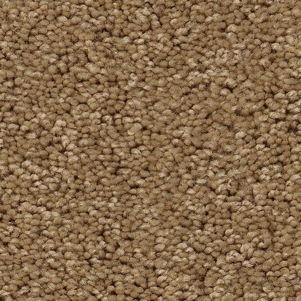 Shaw Las Cruces Carpet in Radiance, , large