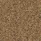 Shaw Las Cruces Carpet in Radiance, , large