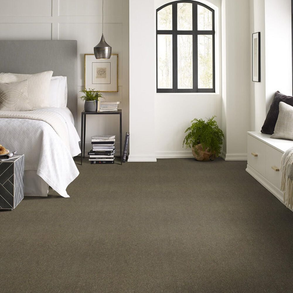 Shaw Counterpart 24&quot; x 24&quot; Carpet Tile in Spitting Image, , large