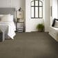 Shaw Counterpart 24" x 24" Carpet Tile in Spitting Image, , large