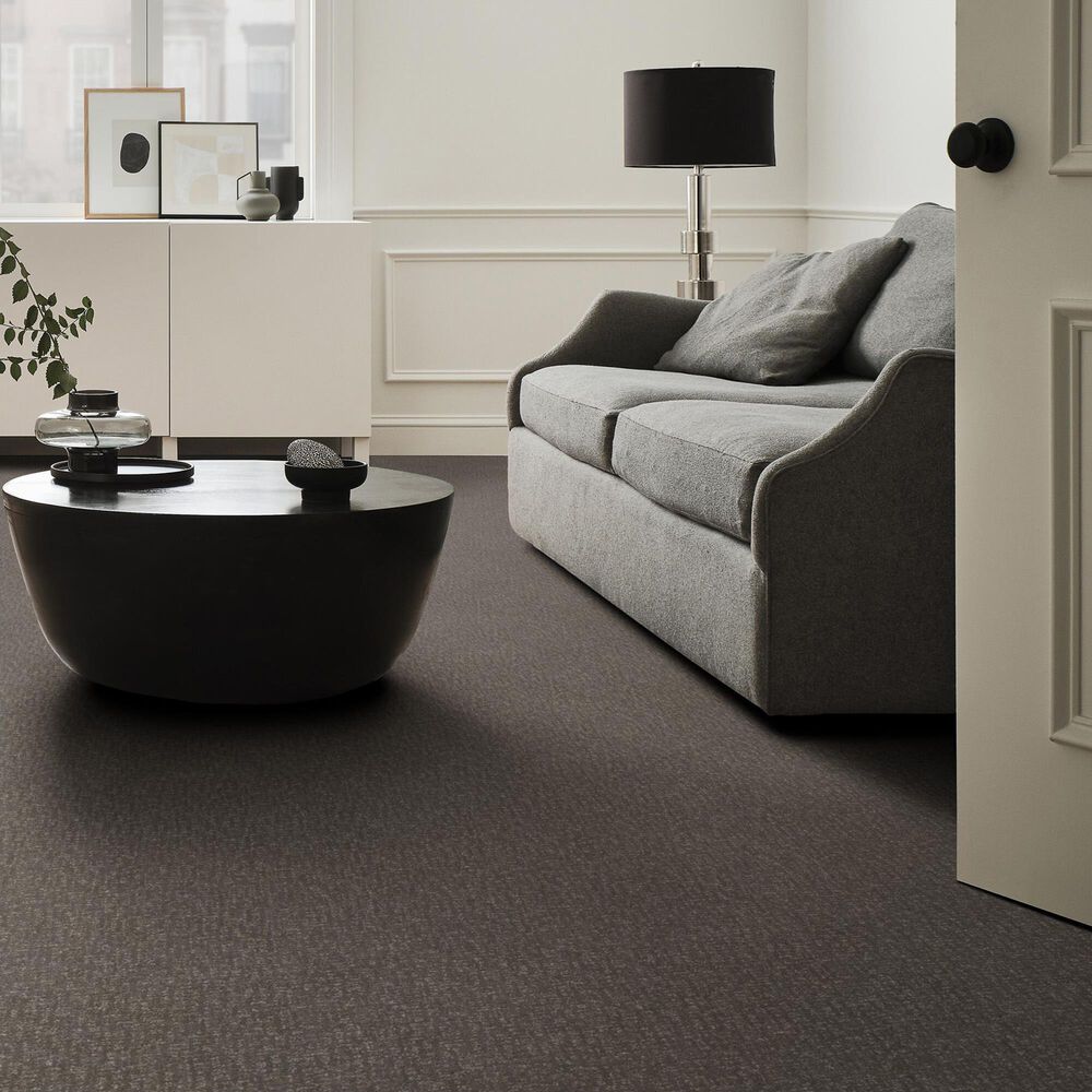 Anderson Tuftex Caboodle Carpet in Shade, , large