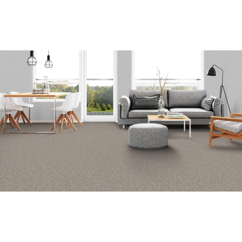 Dixie Home Devotion Carpet in Weathered, , large